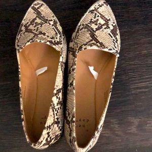 Never worn shoes size 6